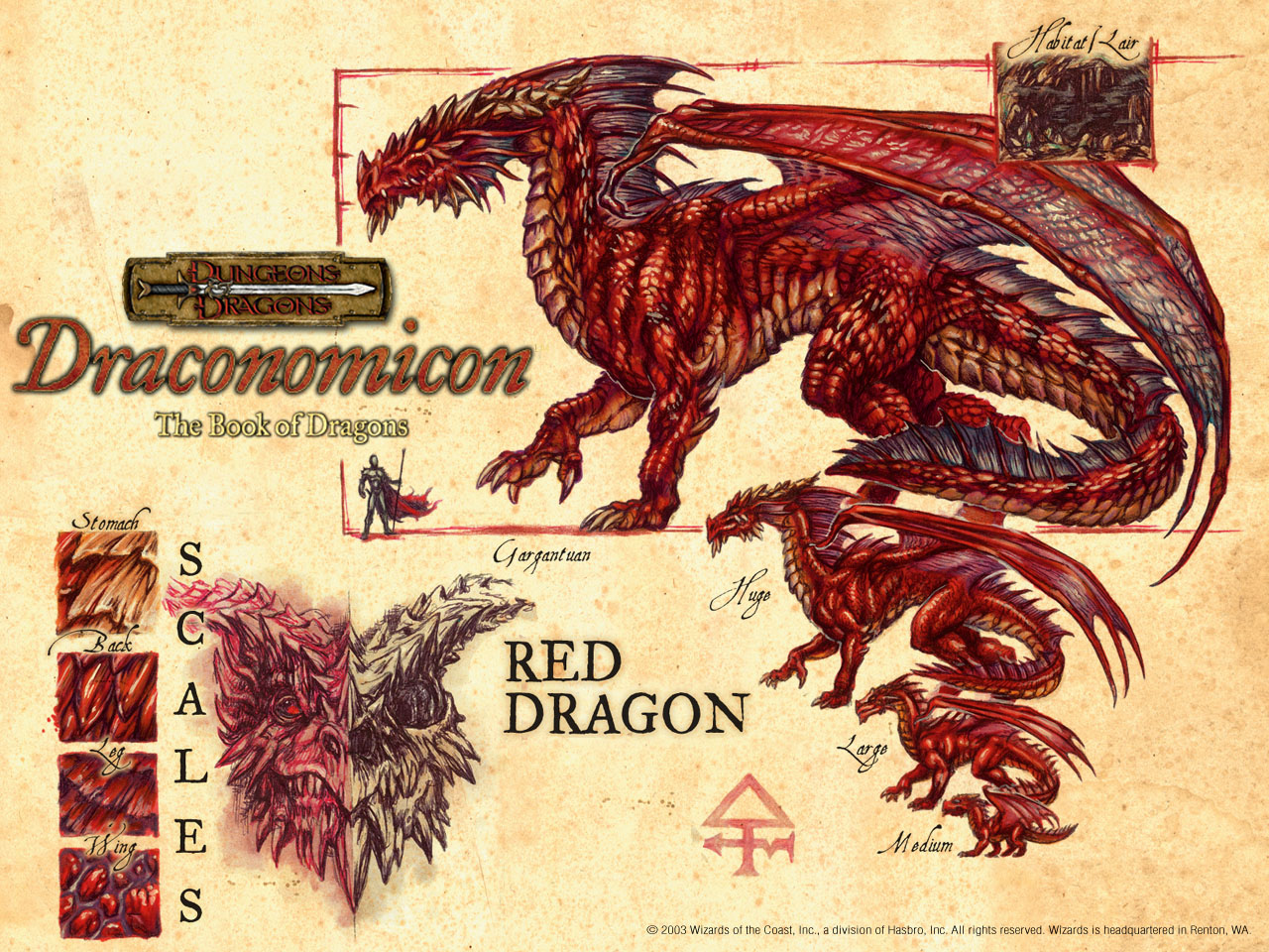 red_dragon1_1280.jpg